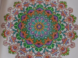 whatsapp bild 2024-01-15 um 13.06.10_5b81e60b